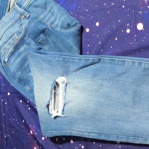 NWT Lane Bryant Signature Fit Skinny Jeans 22 Petite Mid-Rise Distressed